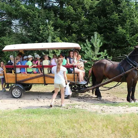 Wieloosobowy - Agroturystyka *
