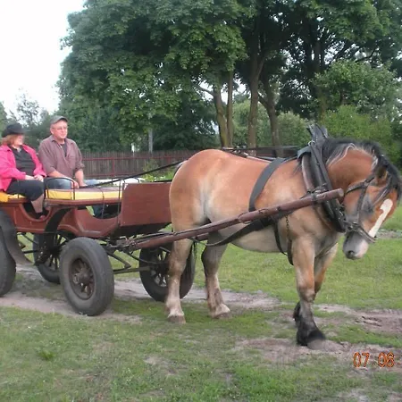 Wieloosobowy - Agroturystyka * Przetycz